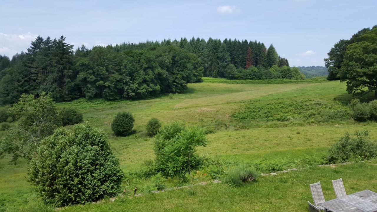 Chambre D'Hotes Chalendeix Nedde Kültér fotó